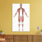 人間の筋肉の全ての体 キャンバスプリント (インサイチュ (リビング))