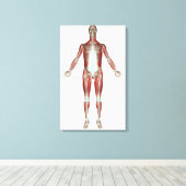 人間の筋肉の全ての体 キャンバスプリント (インサイチュ (ウッドフロア))