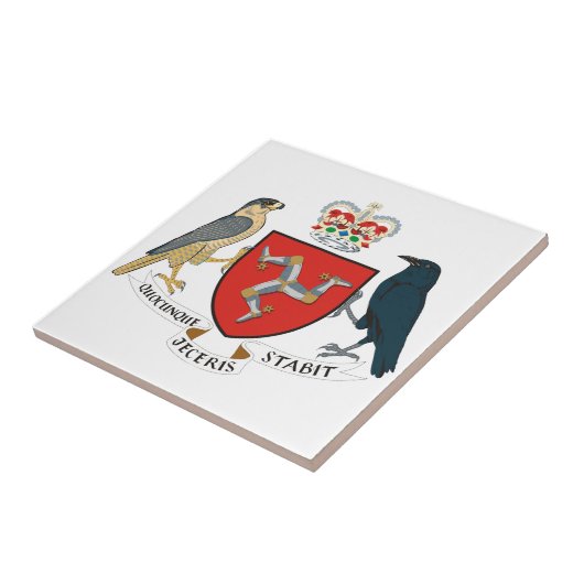 人間の紋章の島 タイル (側面)