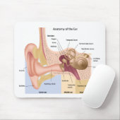 人間の耳のマウスパッドの解剖学 マウスパッド (マウス)