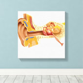 人間の耳の断面 キャンバスプリント (インサイチュ (ウッドフロア))