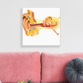 人間の耳の断面 キャンバスプリント (インサイチュ (リビング))