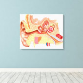 人間の耳の構造 キャンバスプリント (インサイチュ (ウッドフロア))