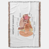 人間の耳の構造 スローブランケット (正面縦)