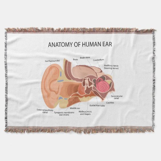 人間の耳の構造 スローブランケット (正面)