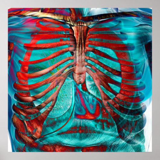 人間の胸 ポスター (正面)