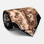 人間の脊柱のネクタイ ネクタイ (ロール)