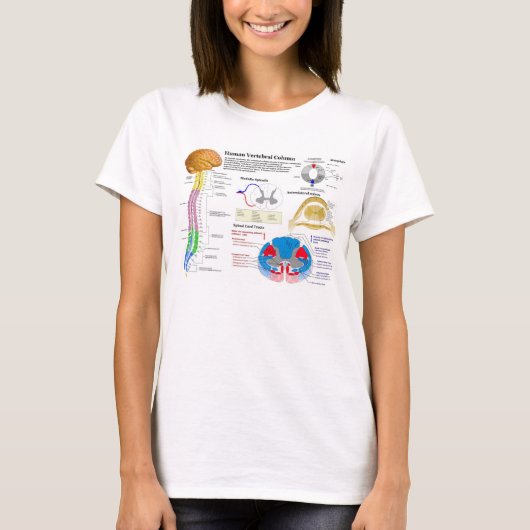 人間の脊柱の図表 Tシャツ (正面)