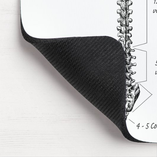 人間の脊柱 マウスパッド (コーナー)