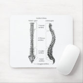 人間の脊柱 マウスパッド (マウス)