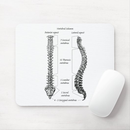 人間の脊柱 マウスパッド (マウス)