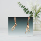 人間の脚と足の骨の概念図 ポストカード (スタンド正面)