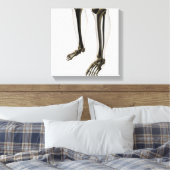 人間の脚と足の3次元表示 キャンバスプリント (インサイチュ (寝室))