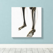人間の脚と足の3次元表示 キャンバスプリント (インサイチュ (ウッドフロア))