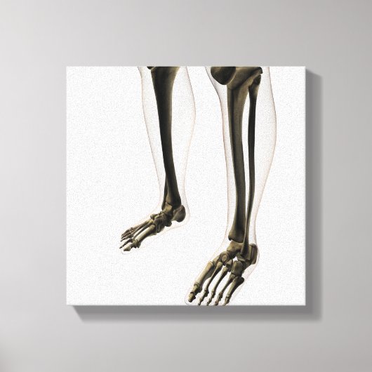 人間の脚と足の3次元表示 キャンバスプリント (正面)