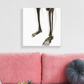 人間の脚と足の3次元表示 キャンバスプリント (インサイチュ (リビング))