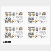 人間の脳の人間の構造人気があるの構造 長方形シール (シート)