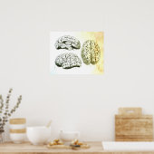 人間の脳の医学的イラストレーション ポスター (キッチン)