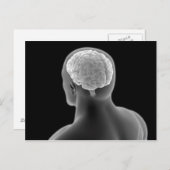 人間の脳の概念像2 ポストカード (正面/裏面)