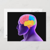 人間の脳の概念像7 ポストカード (正面/裏面)