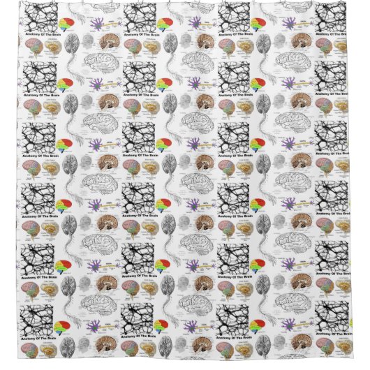 人間の脳の構造人気がある シャワーカーテン (正面)