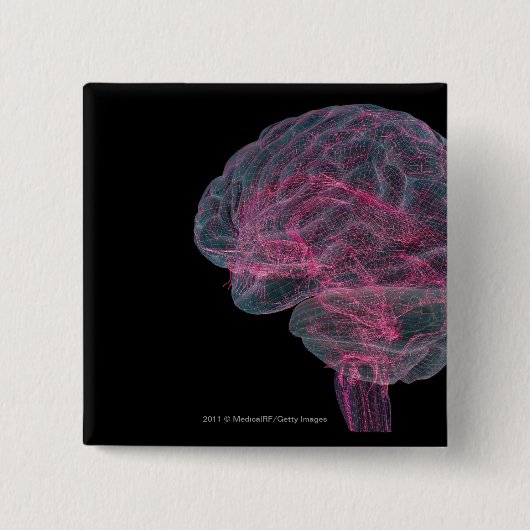 人間の脳の背面図 缶バッジ (正面)