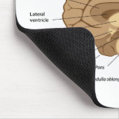 人間の脳の解剖学のマウスパッド マウスパッド (コーナー)