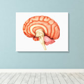 人間の脳の解剖学的側面1 キャンバスプリント (インサイチュ (ウッドフロア))