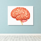 人間の脳の解剖学的側面2 キャンバスプリント (インサイチュ (ウッドフロア))