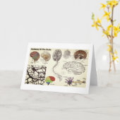 人間の脳の解剖学 カード (黄色い花)