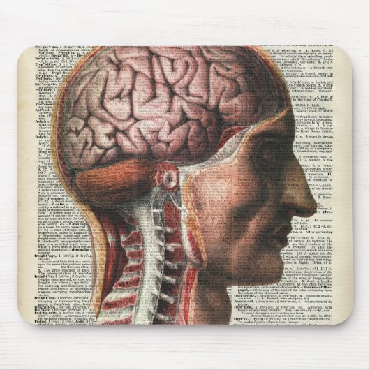 人間の脳の解剖学 マウスパッド (正面)