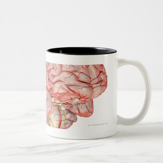 人間の脳のRealiticのレンダリング ツートーンマグカップ (右)