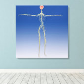 人間の脳を持つ中枢神経系 キャンバスプリント (インサイチュ (ウッドフロア))