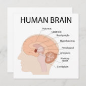 人間の脳 サンキューカード (正面/裏面)