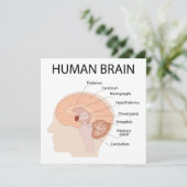 人間の脳 サンキューカード (スタンド正面)