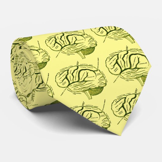 人間の脳 ネクタイ (ロール)