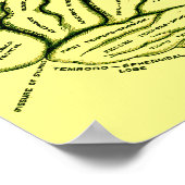 人間の脳 ポスター (角)