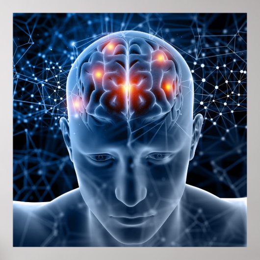 人間の脳 ポスター (正面)