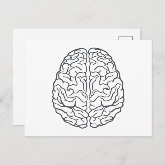 人間の脳 ポストカード (正面/裏面)