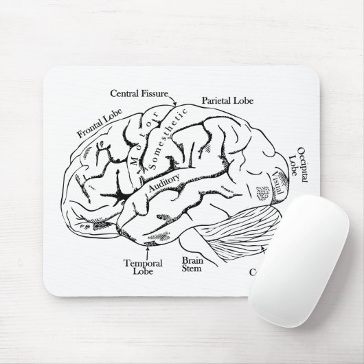 人間の脳 マウスパッド (マウス)