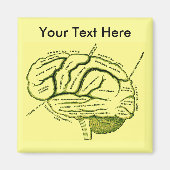 人間の脳 マグネット (正面)