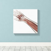 人間の腕と手の筋肉解剖学 キャンバスプリント (インサイチュ (ウッドフロア))