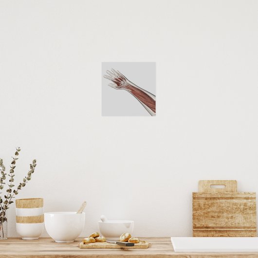 人間の腕と手の筋肉解剖学 ポスター (キッチン)