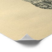 人間の腕の解剖学1902ヴィンテージプリント ポスター (角)