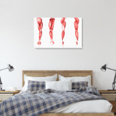 人間の腕筋の医学的イラストレーション キャンバスプリント (インサイチュ (寝室))