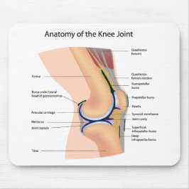 人間の膝関節のmousepadの解剖学 マウスパッド