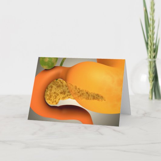 人間の膵臓および胃の概念的なイメージ カード (正面)