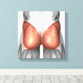 人間の臀筋のクローズアップ キャンバスプリント (インサイチュ (ウッドフロア))