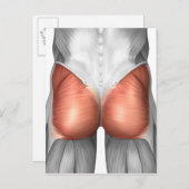 人間の臀筋のクローズアップ ポストカード (正面/裏面)