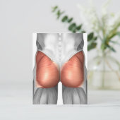 人間の臀筋のクローズアップ ポストカード (スタンド正面)